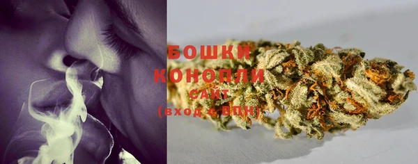 прущие грибы Михайловск