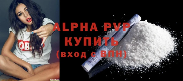 прущие грибы Михайловск
