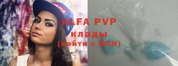 прущие грибы Михайловск
