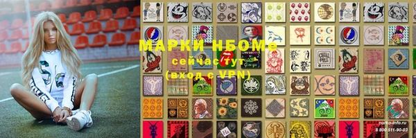 ПСИЛОЦИБИНОВЫЕ ГРИБЫ Михайлов