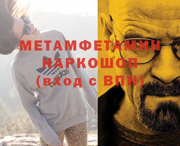 ПСИЛОЦИБИНОВЫЕ ГРИБЫ Михайлов