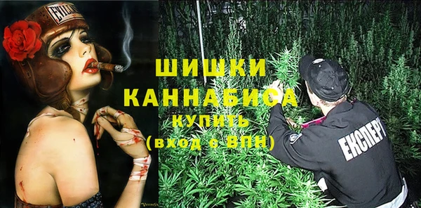 ПСИЛОЦИБИНОВЫЕ ГРИБЫ Михайлов