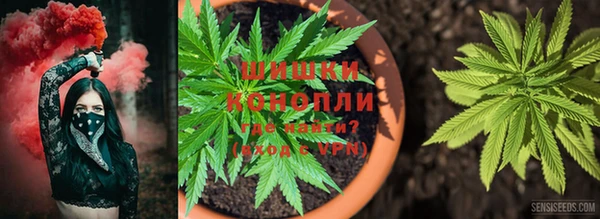 ПСИЛОЦИБИНОВЫЕ ГРИБЫ Михайлов