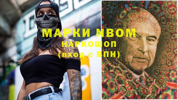 ПСИЛОЦИБИНОВЫЕ ГРИБЫ Михайлов