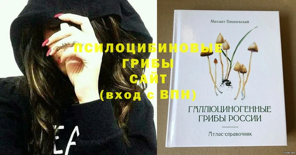 соль курить ск Михайловка
