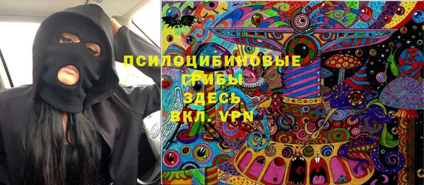прущие грибы Михайловск