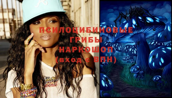 ПСИЛОЦИБИНОВЫЕ ГРИБЫ Михайлов