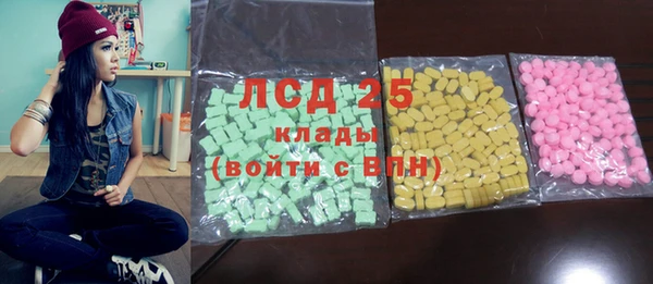 ПСИЛОЦИБИНОВЫЕ ГРИБЫ Михайлов