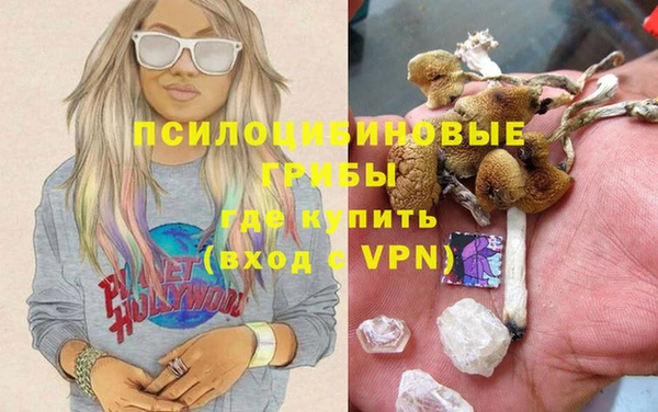 соль курить ск Михайловка