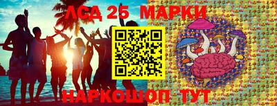 амфетамин Гай