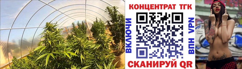 Дистиллят ТГК Wax  Елабуга 