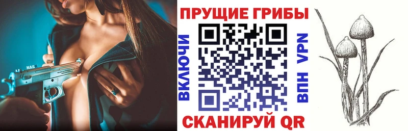 ссылка на мегу рабочий сайт  наркота  Елабуга  Галлюциногенные грибы Magic Shrooms 