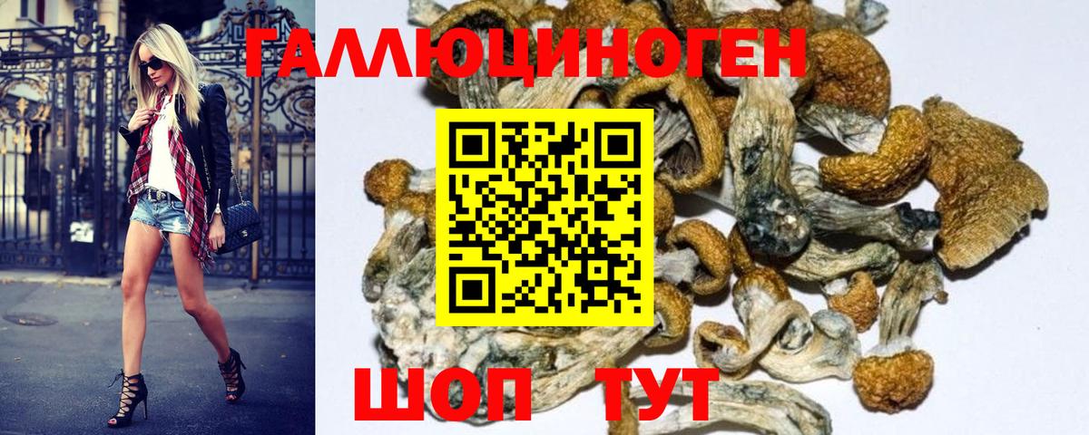 Галлюциногенные грибы GOLDEN TEACHER Елабуга