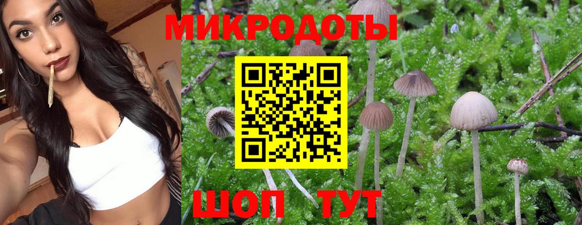Псилоцибиновые грибы Psilocybine cubensis  Галлюциногенные грибы Psilocybe  Елабуга  Вход с VPN 