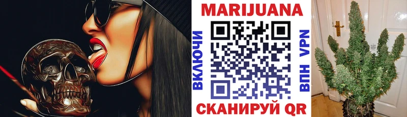 магазин    Елабуга  Канабис планчик 